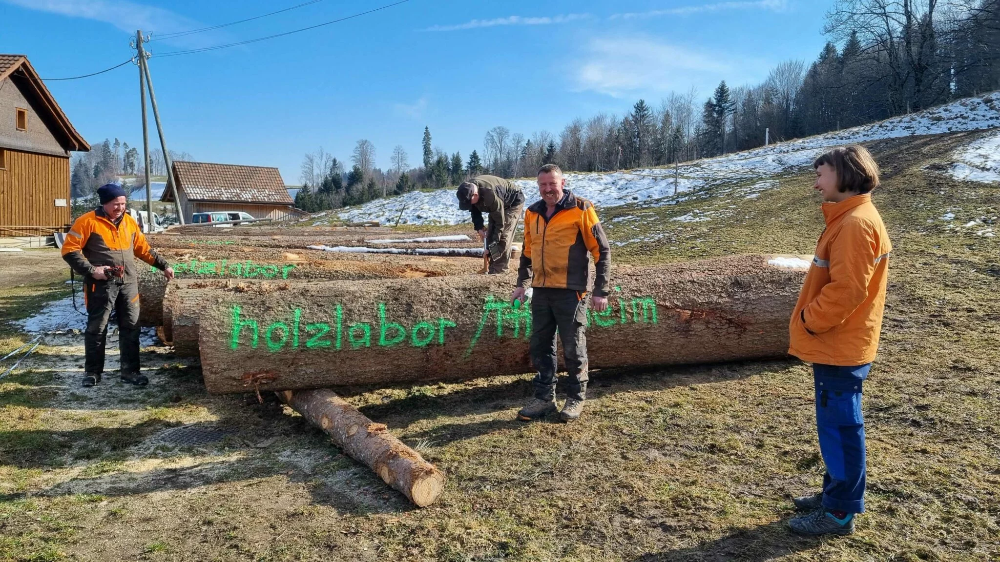 holz_1